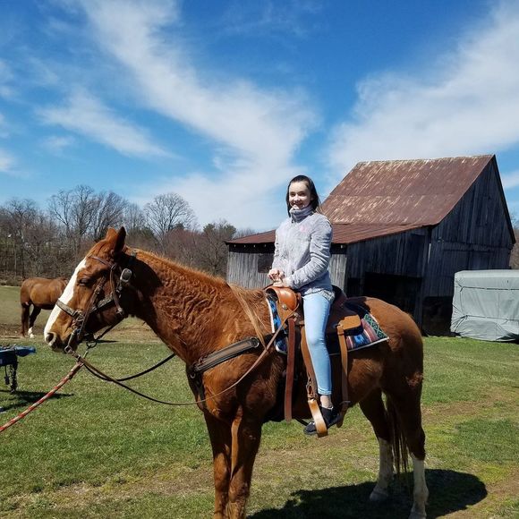 Meet your Posher, Tommy - Picture 1 of 3